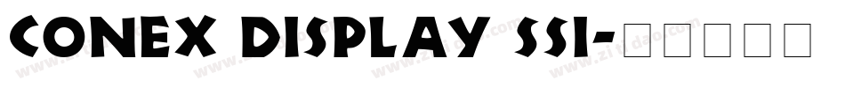 Conex Display SSi字体转换